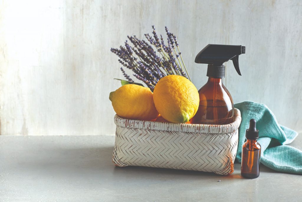 DIY eco cleaning full width