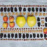 eat the season autumn quince apricot blackberry nuts liz earle wellbeing