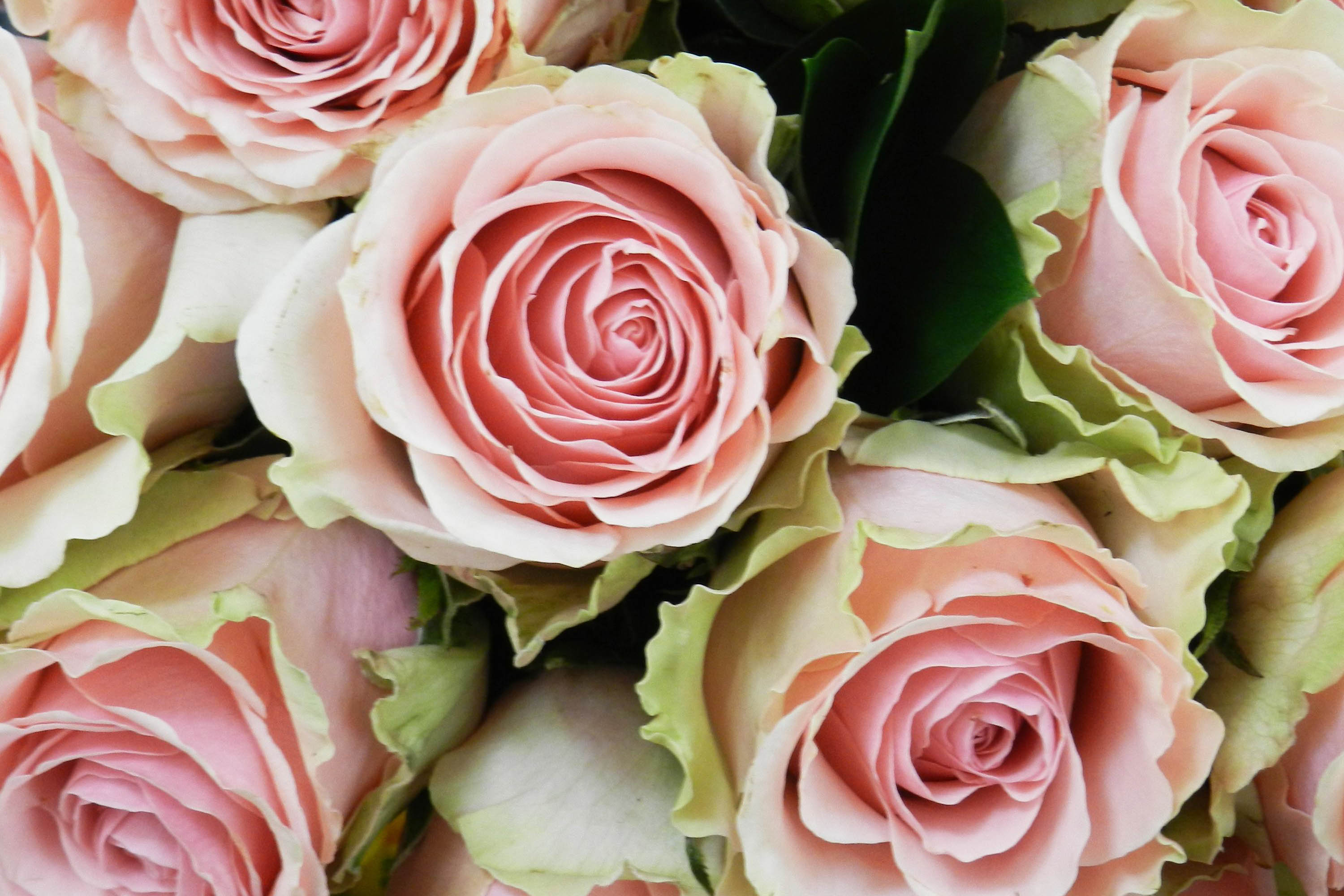 Liz S Top Tips For Flower Arranging Liz Earle Wellbeing