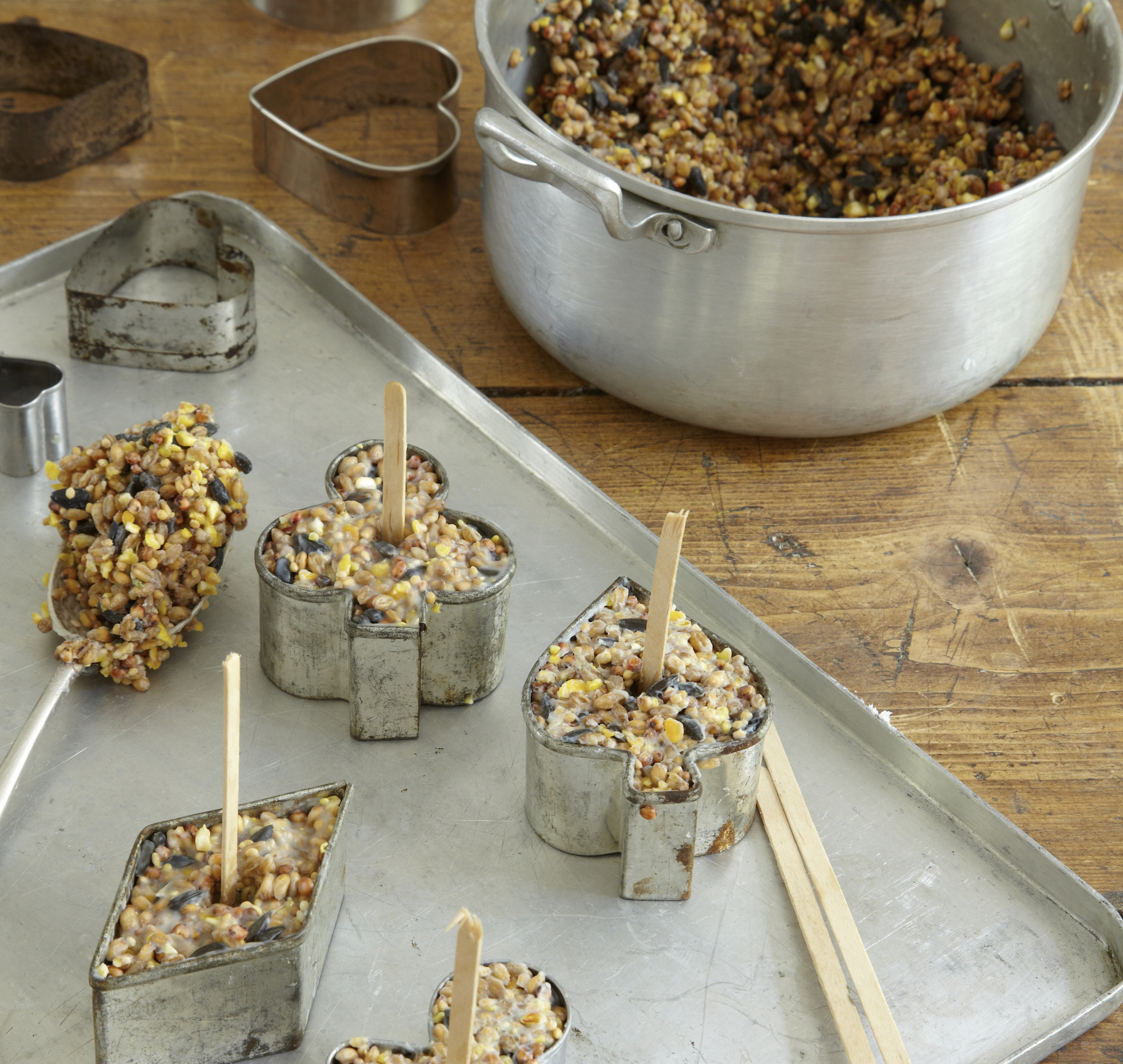 Simple Homemade Bird Feeders Liz Earle Wellbeing