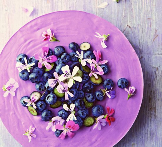 sugar-free cake recipe for blueberry lemon moussecake