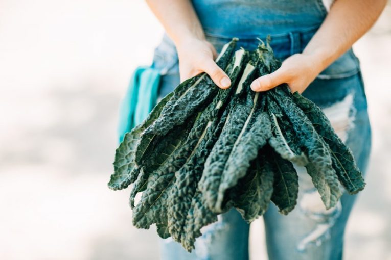 Nitrates and nitrites – what you need to know