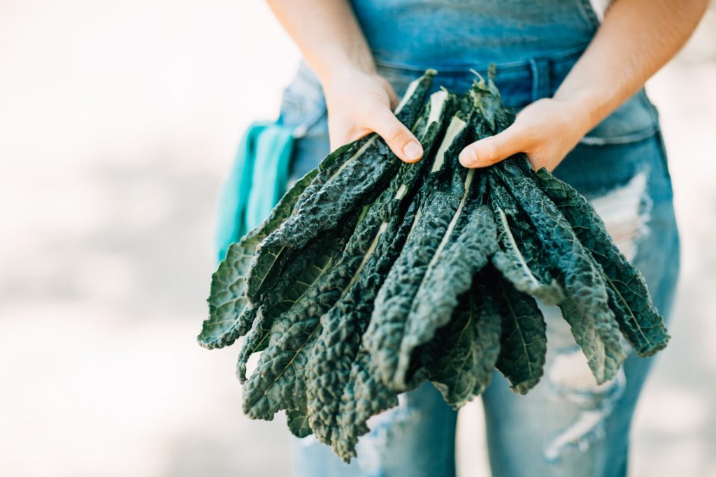 Nitrates and nitrites – what you need to know