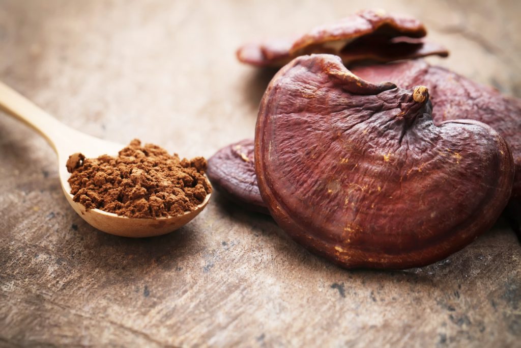 The health benefits of mushrooms
