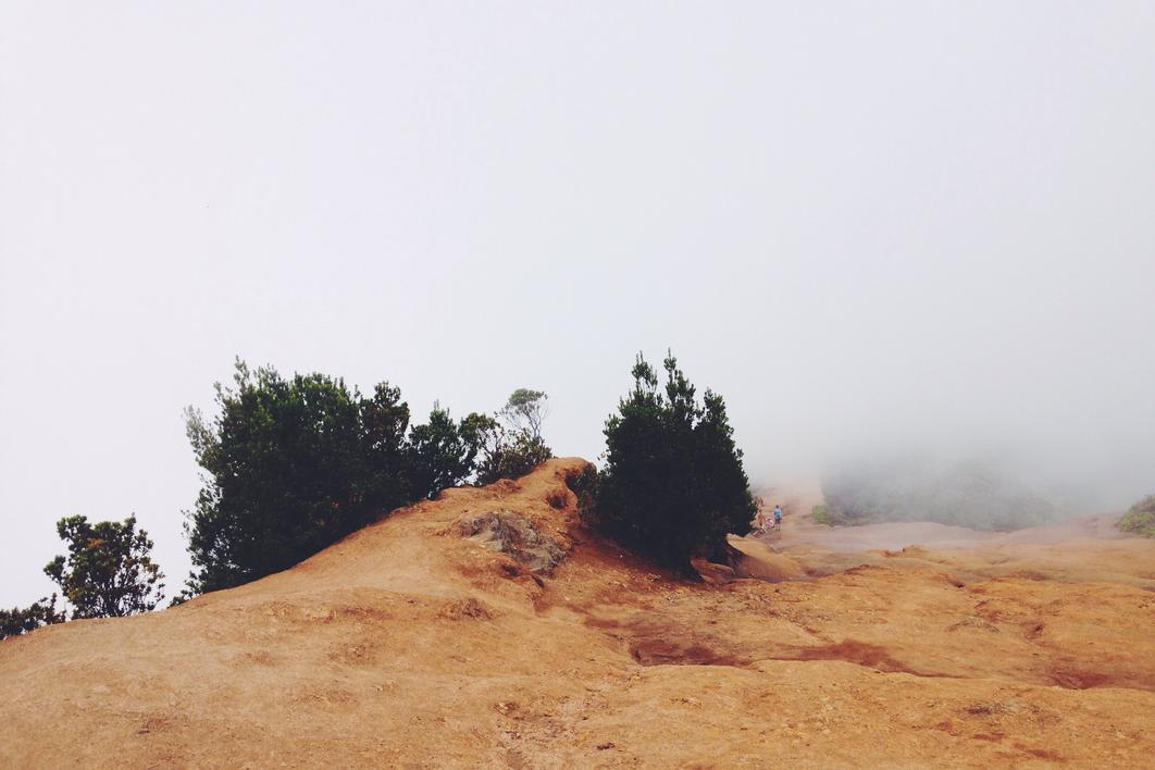 Quis provident incidunt atque nihil omnis est