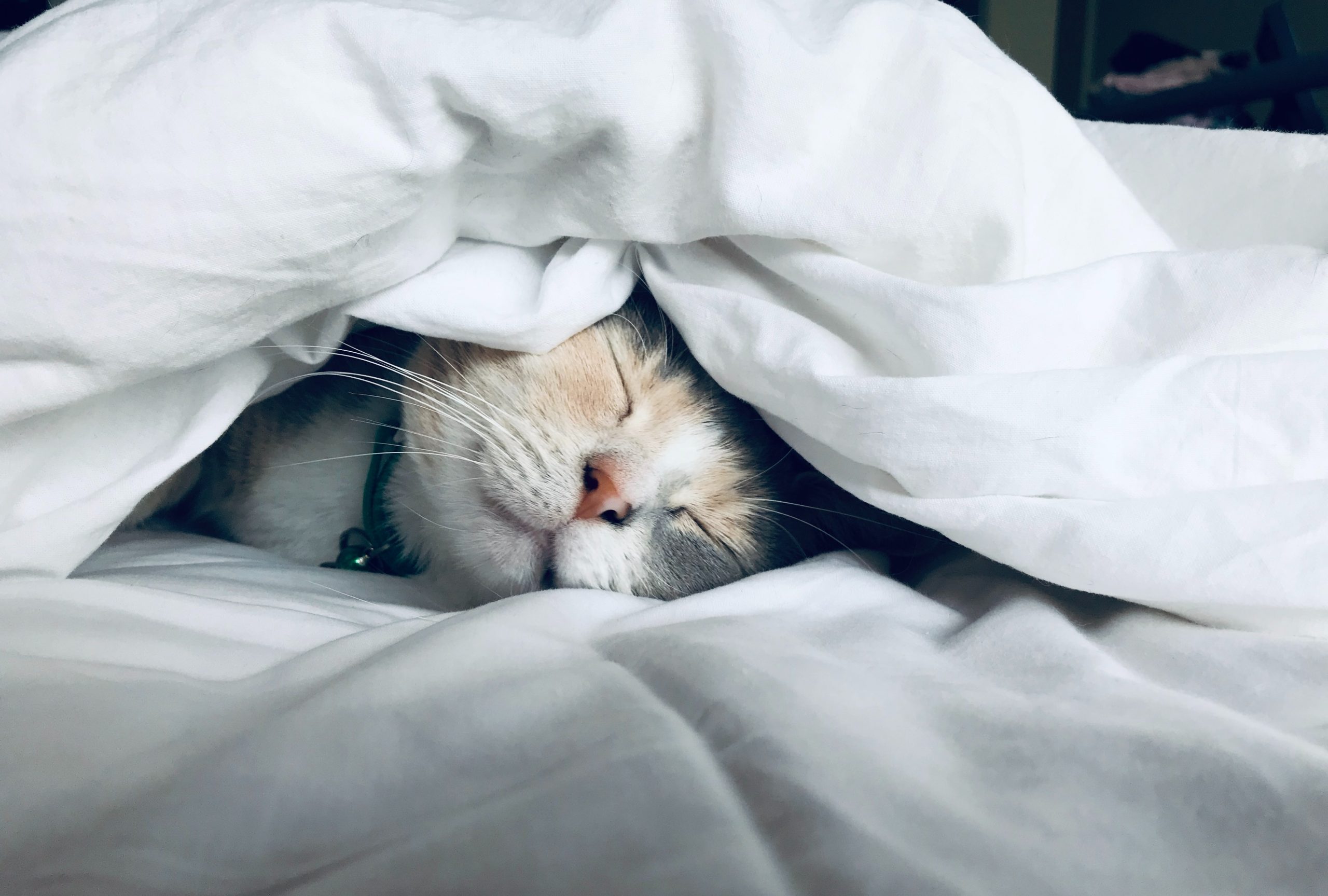 5 reasons you can’t sleep and what to do about them