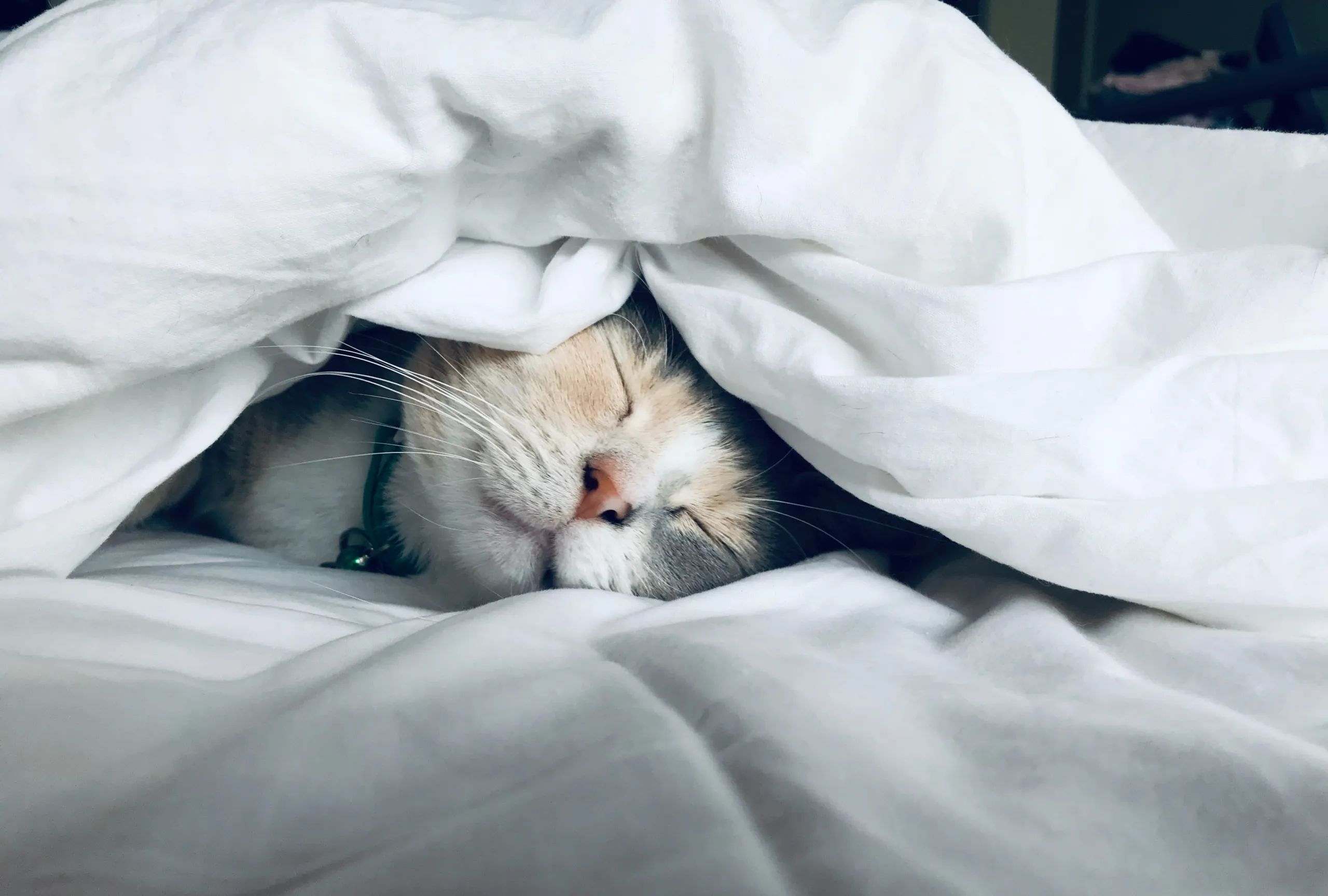5 reasons you can’t sleep and what to do about them