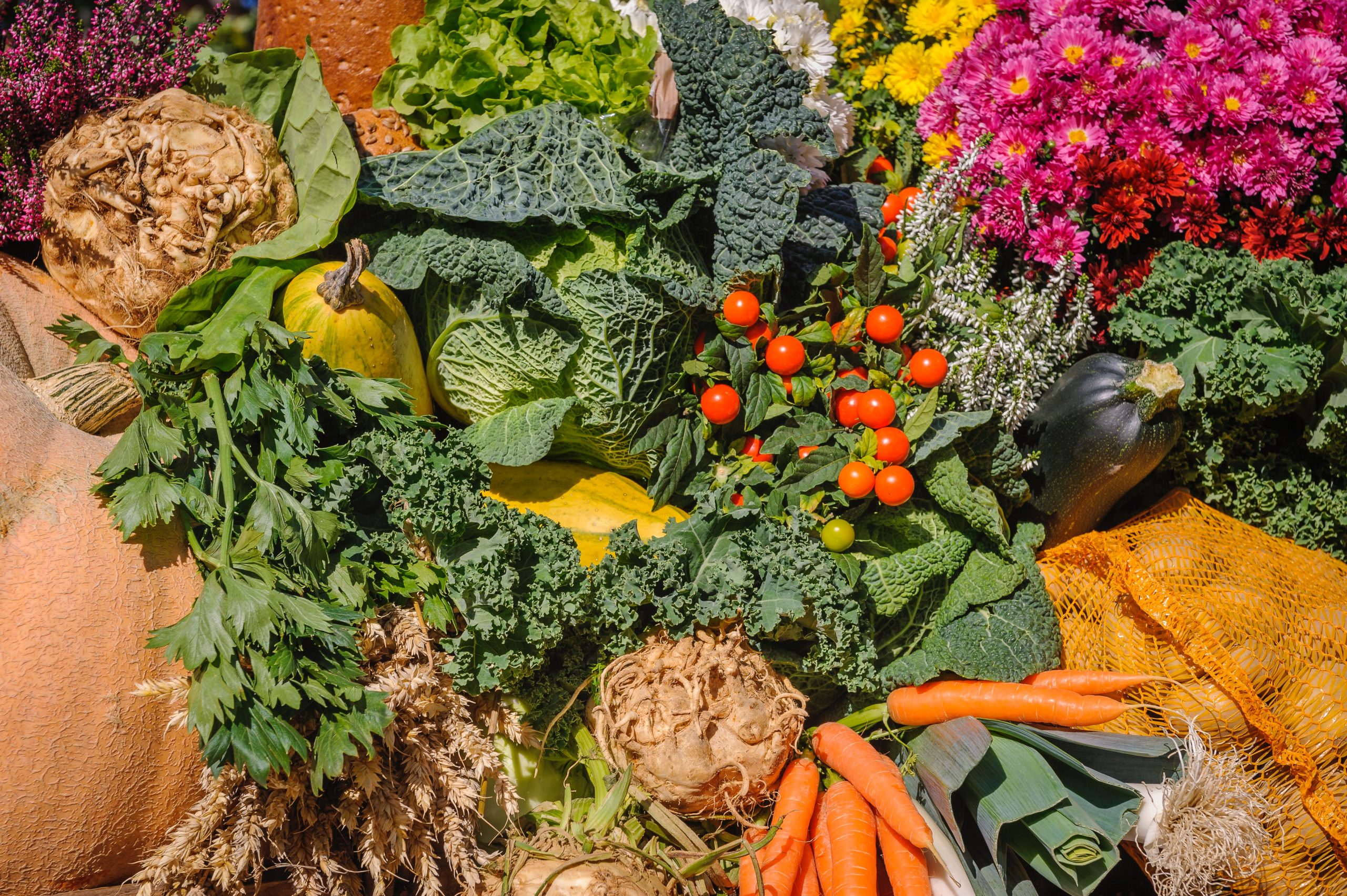 Gut health with Professor Tim Spector