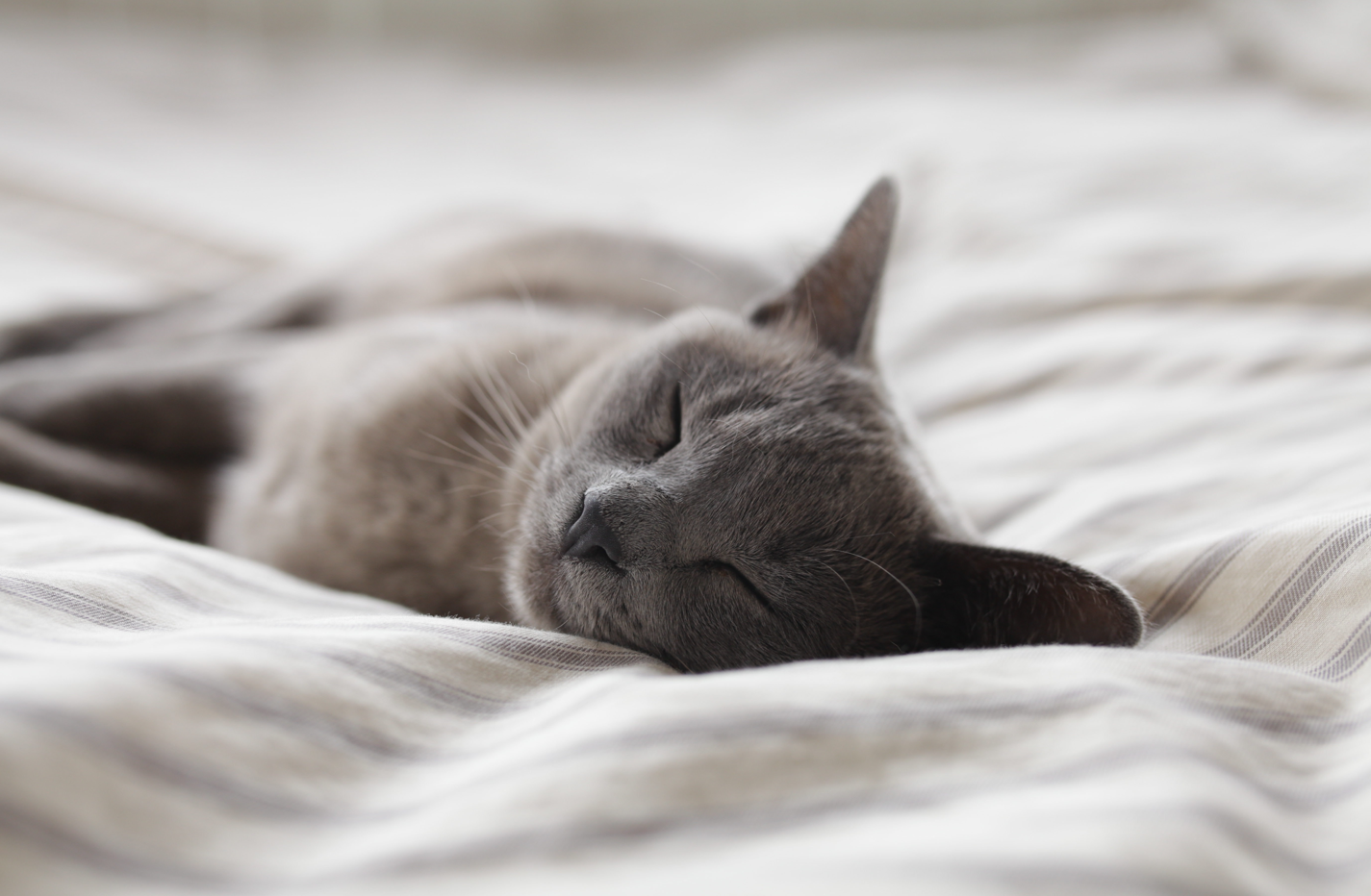 The 5 types of tiredness and what you can do about them