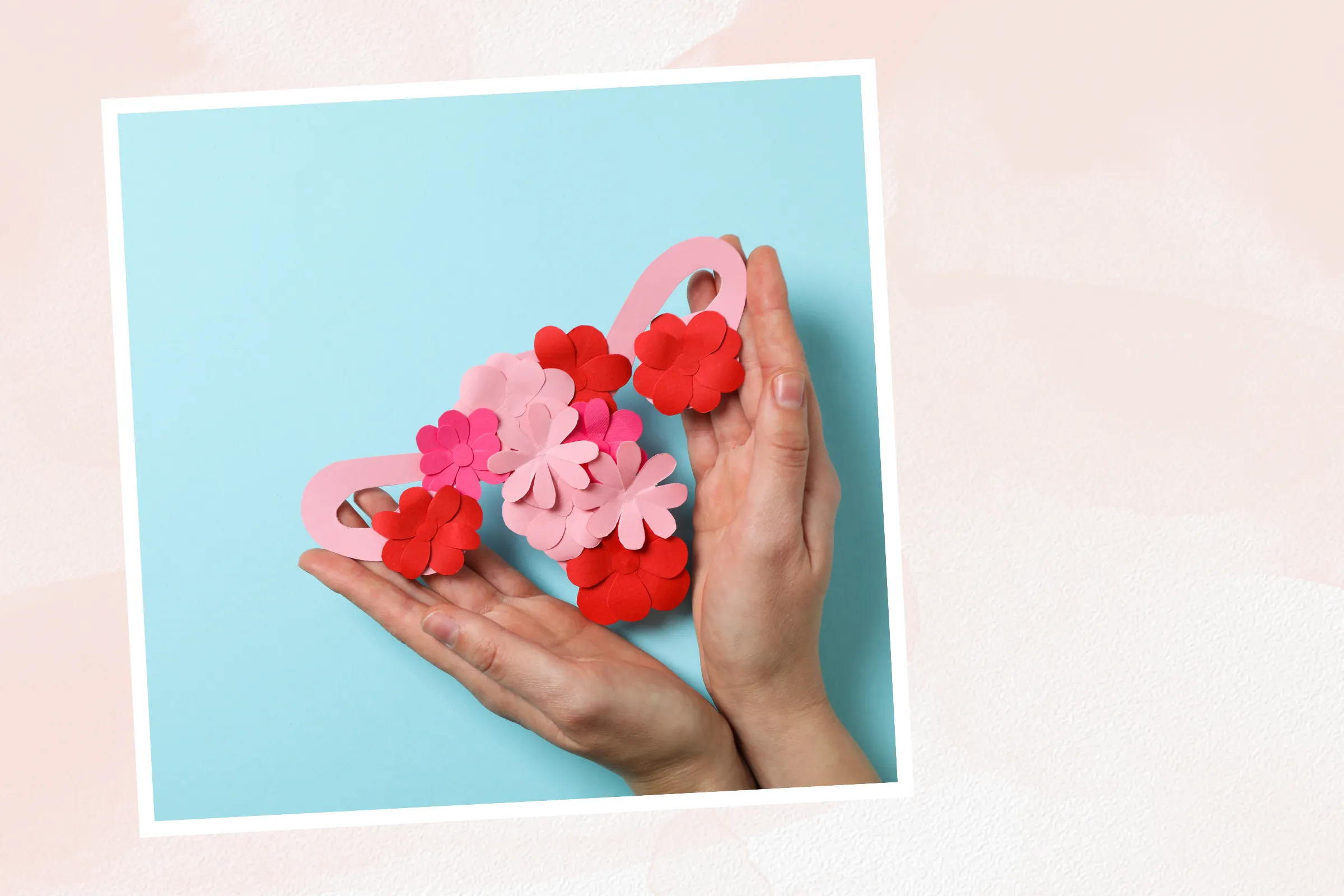 5 reasons the vaginal microbiome is key for midlife health