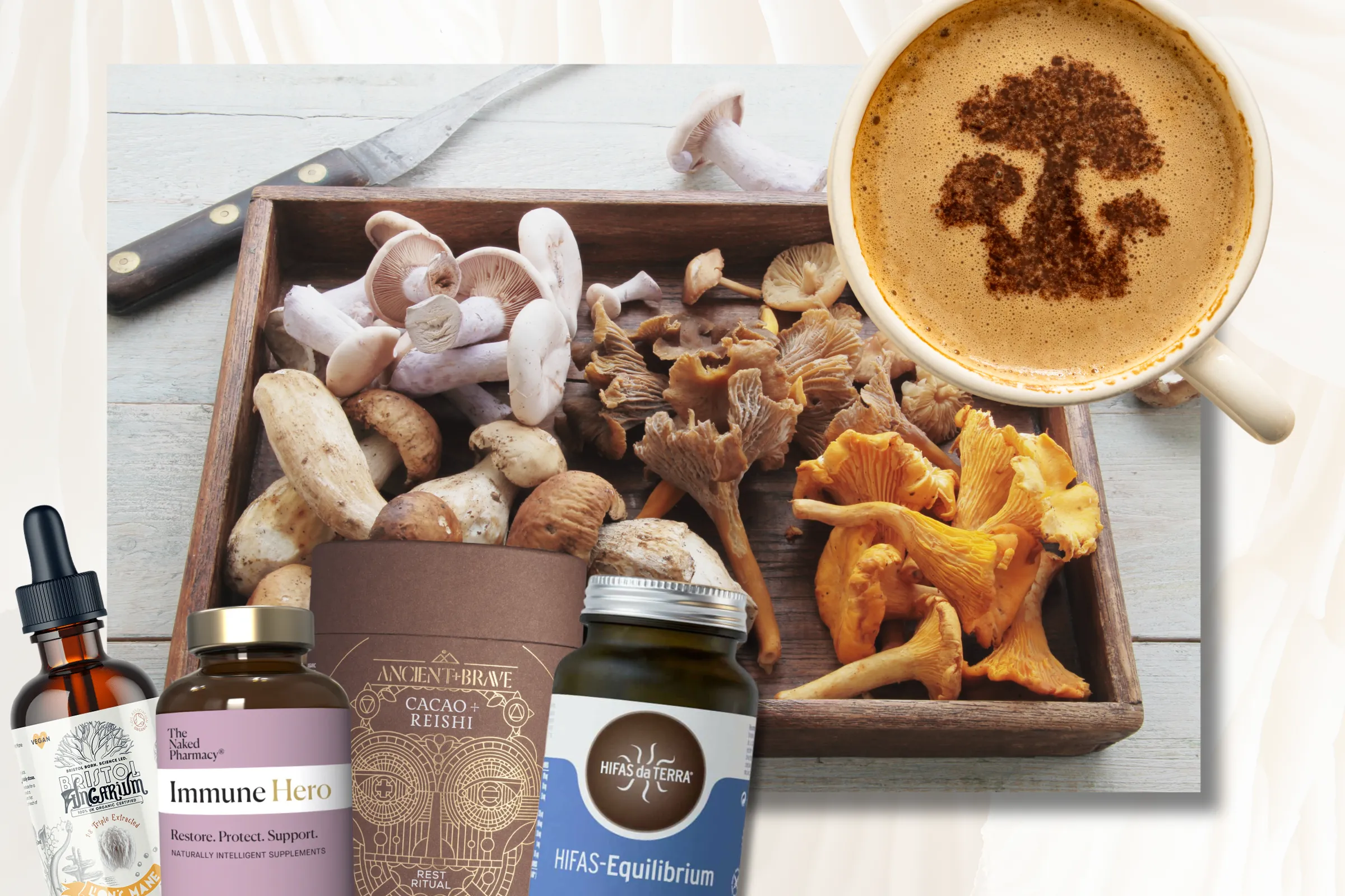Can medicinal mushrooms transform our health in midlife?