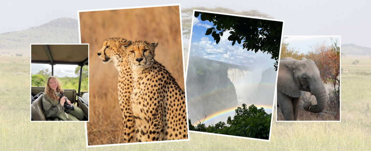 I went on a safari as a solo female traveller – here’s what happened